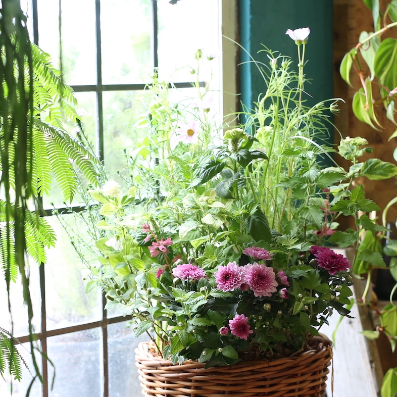 送料無料【１点もの】コスモス揺れるマムの野の花ブリコラージュ